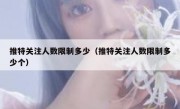 推特关注人数限制多少（推特关注人数限制多少个）