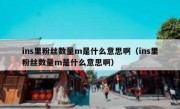 ins里粉丝数量m是什么意思啊（ins里粉丝数量m是什么意思啊）