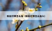 粉丝灯牌怎么加（粉丝灯牌怎么加入）