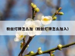 粉丝灯牌怎么加（粉丝灯牌怎么加入）