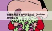 推特被限流了搜不到怎么办（twitter被限流了?）