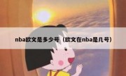 nba欧文是多少号（欧文在nba是几号）