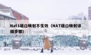 Nat1端口映射不生效（NAT端口映射详细步骤）