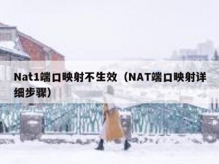 Nat1端口映射不生效（NAT端口映射详细步骤）