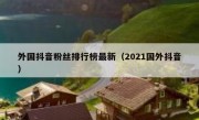 外国抖音粉丝排行榜最新（2021国外抖音）