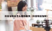抖音加粉丝怎么赚钱最快（抖音粉丝加粉）