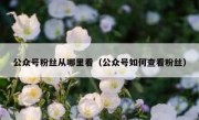 公众号粉丝从哪里看（公众号如何查看粉丝）