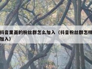 抖音里面的粉丝群怎么加入（抖音粉丝群怎样加入）