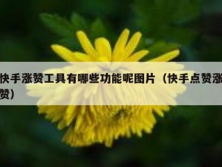 快手涨赞工具有哪些功能呢图片（快手点赞涨赞）