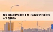 抖音领粉丝企业助手十二（抖音企业小助手有人工在线吗）