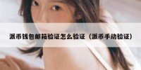 派币钱包邮箱验证怎么验证（派币手动验证）