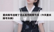 重庆限号违规了怎么处罚的呢今天（今天重庆限号车辆）