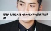 国外网友评论美国（国外网友评论美国得流浪汉）