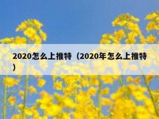2020怎么上推特（2020年怎么上推特）