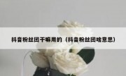 抖音粉丝团干嘛用的（抖音粉丝团啥意思）