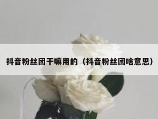 抖音粉丝团干嘛用的（抖音粉丝团啥意思）