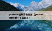 youtube视频没有画面（youtube视频看不了怎么办）