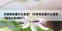 抖音粉丝是什么意思?（抖音粉丝是什么意思?是怎么形成的?）