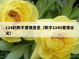 124的数字爱情意思（数字1248爱情含义）