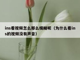 ins看视频怎么那么模糊呢（为什么看ins的视频没有声音）