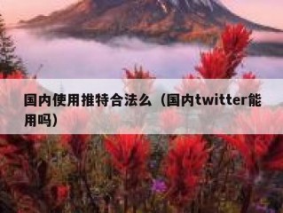 国内使用推特合法么（国内twitter能用吗）