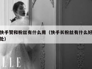 快手赞和粉丝有什么用（快手长粉丝有什么好处）