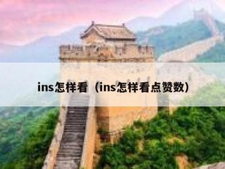 ins怎样看（ins怎样看点赞数）