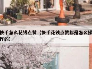 快手怎么花钱点赞（快手花钱点赞都是怎么操作的）