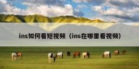ins如何看短视频（ins在哪里看视频）