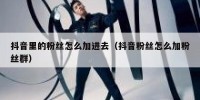 抖音里的粉丝怎么加进去（抖音粉丝怎么加粉丝群）