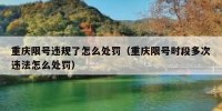 重庆限号违规了怎么处罚（重庆限号时段多次违法怎么处罚）