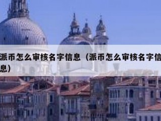 派币怎么审核名字信息（派币怎么审核名字信息）