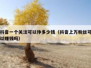 抖音一个关注可以挣多少钱（抖音上万粉丝可以赚钱吗）