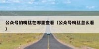 公众号的粉丝在哪里查看（公众号粉丝怎么看）