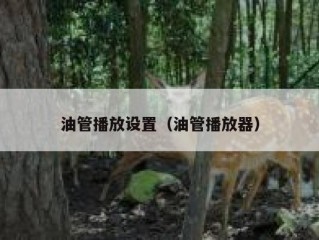 油管播放设置（油管播放器）