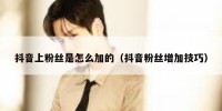 抖音上粉丝是怎么加的（抖音粉丝增加技巧）