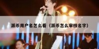 派币用户名怎么看（派币怎么审核名字）