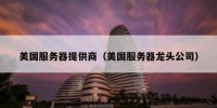 美国服务器提供商（美国服务器龙头公司）