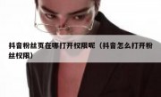 抖音粉丝页在哪打开权限呢（抖音怎么打开粉丝权限）