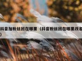 抖音加粉丝团在哪里（抖音粉丝团在哪里改名）