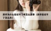 派币为什么验证不了呢怎么回事（派币验证不了怎么办）