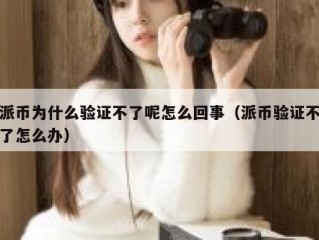 派币为什么验证不了呢怎么回事（派币验证不了怎么办）