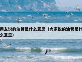 网友说的油管是什么意思（大家说的油管是什么意思）