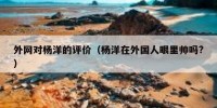 外网对杨洋的评价（杨洋在外国人眼里帅吗?）