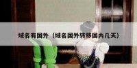 域名有国外（域名国外转移国内几天）