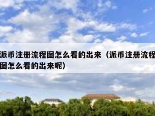 派币注册流程图怎么看的出来（派币注册流程图怎么看的出来呢）