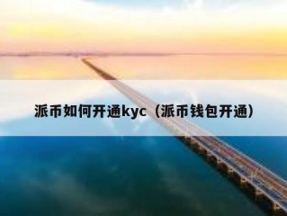 派币如何开通kyc（派币钱包开通）