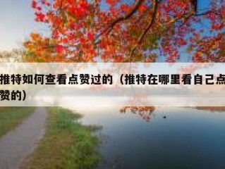 推特如何查看点赞过的（推特在哪里看自己点赞的）