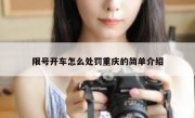 限号开车怎么处罚重庆的简单介绍
