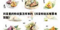 抖音里的粉丝是怎样来的（抖音粉丝从哪里来获取）